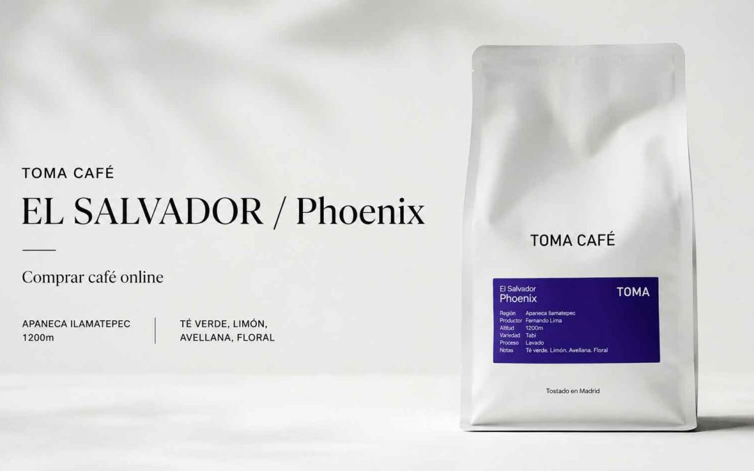 TOMA CAFÉ | El Salvador Phoenix